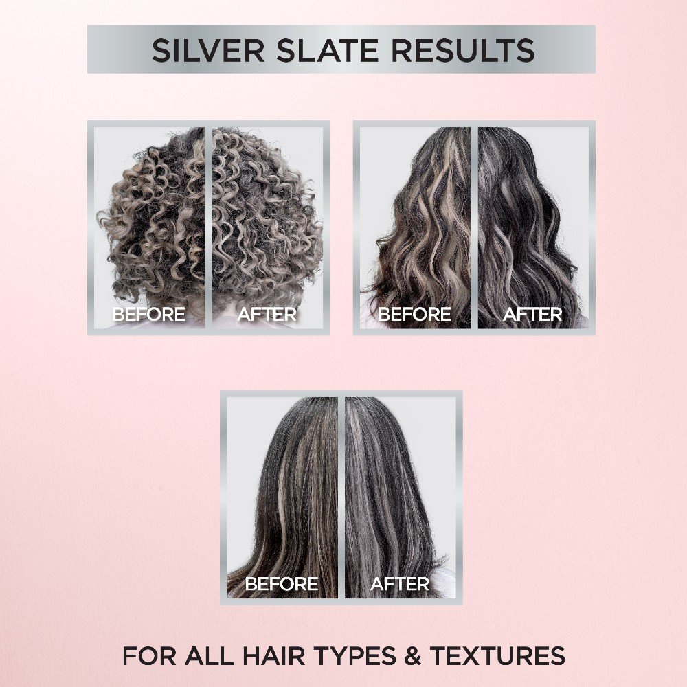 LOreal Haircolor Le Color Gloss Silver Slate Applied 071249654125 AV49